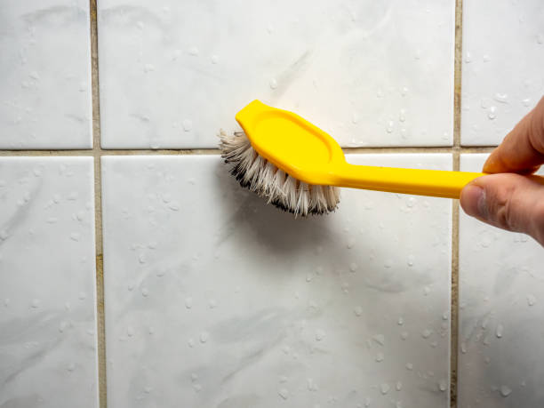 Best Post-Flood Mold Remediation in Calumet City, IL